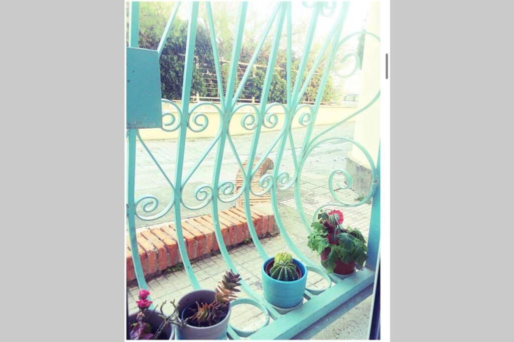 Appartement Cosy Studio Flat On The Seaside à Ostie Extérieur photo